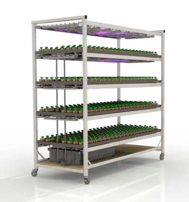 China Greenhouse Hydroponic Vertical Farming Racks Mobile Vertical Grow Racks OEM ODM for sale