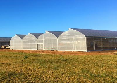 China UV Protected Plastic Film Greenhouse with High Wind Resistance and UV Protection zu verkaufen