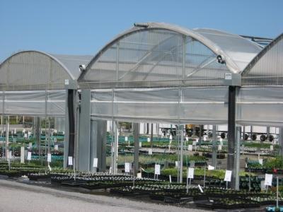 China Multi Tunnel Plastic Film Greenhouse 10x30m Customizable for sale