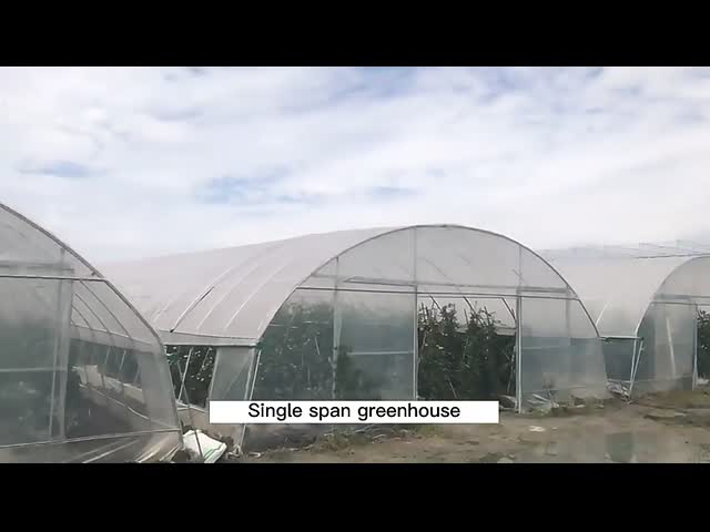 single span greenhouse