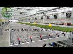 multi span glass greenhouse