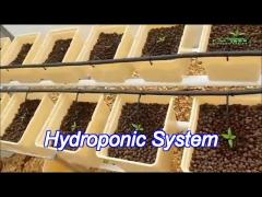 Hydroponic System Dutch Bucket Vertical Aquaponics Growing System For Vegetables