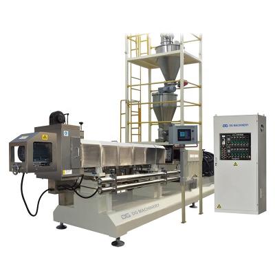 China food & Beverage Factory DG Machinery 2D 3D Puffed Fried Snacks Pellets Papad Foods Machine Production Line for sale