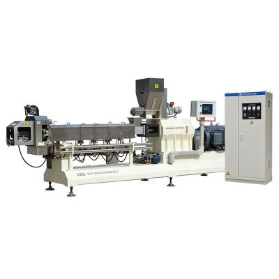 China food & Beverage Plant Extrusion Pipe 2D 3D Snacks Frying Snacks Pellets Machine Foods Production Line for sale