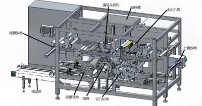 China Sell well single cavity or multi-cavity small dose liquid filling machine laundry liquid for sale