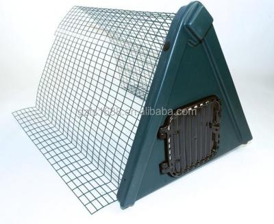 China Luxury Customized Chicken House Cage With Water Container And Laying Box In The Garden for sale