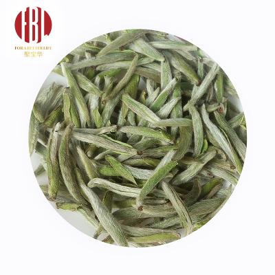 China Spring Loose Organic Silver White Organic Silver Needle Preming Needle Tea Fuding Bai Hao Yin Zhen White Tea Fuding Bai Hao Yin Zhen for sale