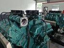 China Maschinen-Generator Deutz V6 des Biogas-260KW Erdgas-elektrischer Generator zu verkaufen