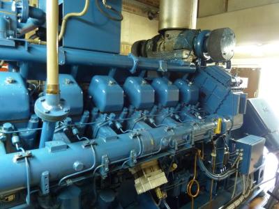 China Dieselgenerator 1000KVA WeiChai zu verkaufen