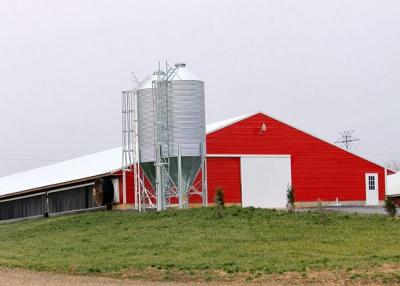 China Pollo comercial pre construido de la casa de las aves de corral de la estructura de acero que alza las estructuras en venta