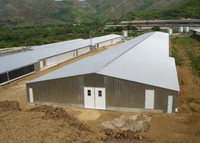 China Las aves de corral ligeras prefabricadas de la estructura de acero contienen la construcción de la vertiente de las aves de corral con la sala de control en venta