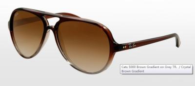 China Brown Gradient on Gray TR Frames Oversized Cat Eye Sunglasses RB4125 824 / 51 Cats 5000 for sale