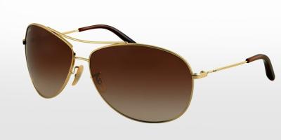 China RB3454E 001/13 New Release LAYBONE Metal Sunglasses With Brown Plastic Lens / Arista Frame for sale