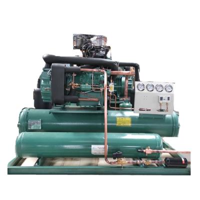 China Bzerld Retail Two Stage Water Cooled Condensing With 30HP Compressor 6WDS-30.2 for sale