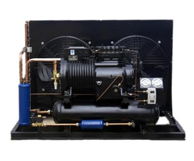 China Retail 5HP Air Cooled Condensing Unit with 2CS-500 Compressor for sale