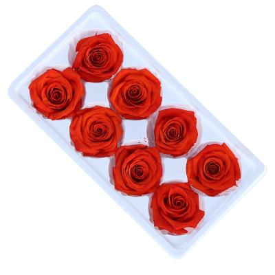 China Wholesale Real Touch Beautiful Colored Dried Eternal Long Lasting Stabilized Flower Head Preserved Rose 4-5cm In Box for sale