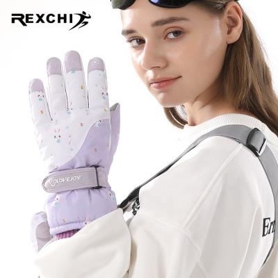 China Hot Women's Winter Outdoor Sports Ski Motorcycle Cycling Snowboard Gloves Touch Screen Hand Glove Porcelain REXCHI SK14 for sale