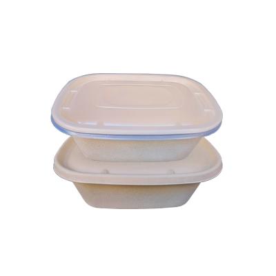 China Eco-Friendly Food New Arrival Take Away Food Packaging Box Biodegradable Lunch Box 3 Sizes Degradable Box With Lid for sale