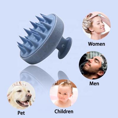 China New Arrivals Wheat Straw Handle Hair Detangling Comb Waterproof Scalp Massage Shampoo Brush for sale