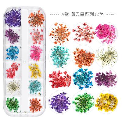 China Finger Nail Art 3d Nail Flower Pressed Dry Flowers Nail Art Flowers Diy Natural Real Dried For Nail Decoration Manicure for sale