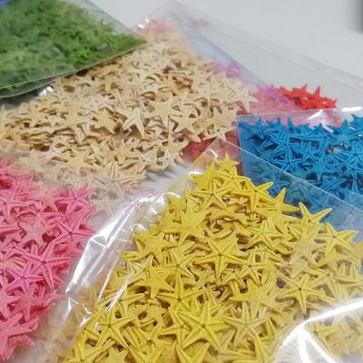 China Finger Nail Art Wholesale 1000 Pcs 3d Summer Ocean Starfish Nails Mini 0.5cm-1cm Nail Art Decoration Starfish For Nails Art Natural Star DIY for sale