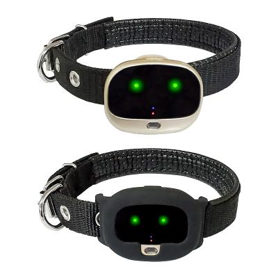 China DETACHED IP67 Dog Tracker Finder Real Time Activity Monitor Long Lasting Battery Lightweight Waterproof Collar Locater for sale