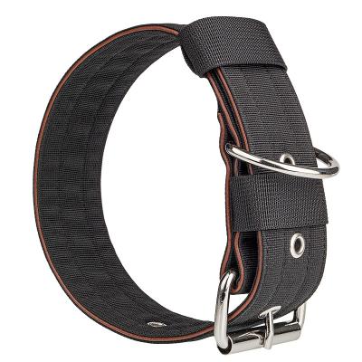 China 50Mm Padded 2 Inch Heavy Duty Quick Snap Double D Ring Metal Buckle Thick Foam Braided Nylon Martingale For Large Dog for sale