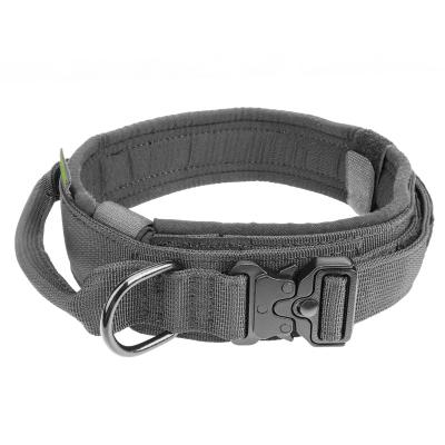 China New Reflective Width 3.8CM Customized Waist Belt Protector Adjustable Elastic Collar For Dog for sale