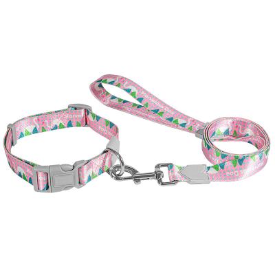 China Colorful Polyester D Ring Adjustable Electroplating Buckle Dog Leash&Collar Set from Fashion Hot Selling DETACHED Rattan Manufacturer for sale