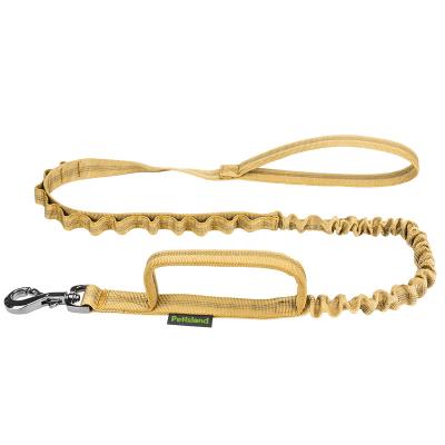 China Reflective Nylon Resistance Band Material Luminous Ginger Dog Leash Durable 2.5CM Width for sale