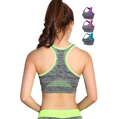 China Breathable Gym Seamless Rib Halter Womens Plus Size Sports Bras Bumbler Pocket Tank Set Running Crossfit for sale