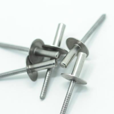 China Construction Plugged Blind Rivets Cutout Button Head Plugged Blind Rivets for sale