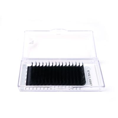 China Natural Soft Matte Black Volume Eyelash Extension Silk Eyelash Extension for sale