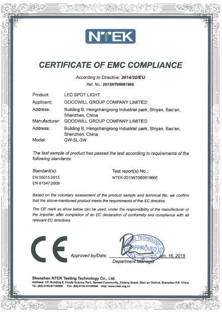 CE - GOODWILL GROUP COMPANY LIMITED