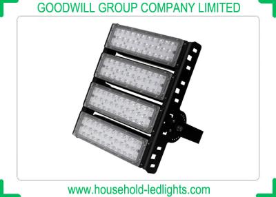 Chine 200W C.A. 220V en dehors des lumières d'inondation de LED haut lumineuses avec le matériel de l'aluminium 6063 à vendre