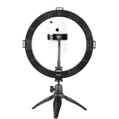 China LED Ring Light with Stand 10inch Dimmable 3