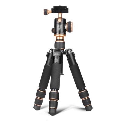 China Digital Camera QZSD Q166 54CM High Max Load 5KG Aluminum Mini Tripod With Ball Head For Digital Video DSLR Camera for sale