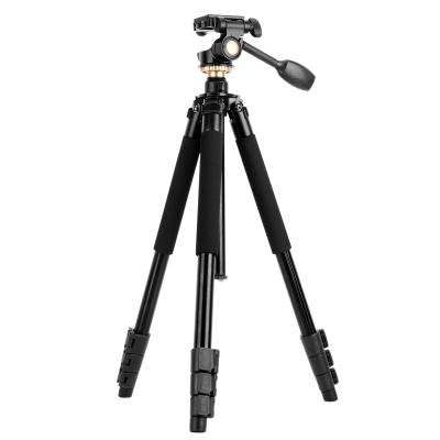 China Video Camera Q338 189cm Professional 74.4 Inch TRIPOD FOR All Cameras& Camera Tripod Stand & Handle Pan Head & Main Ball Tripod for sale