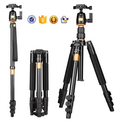 China Professional Feature Q555 Portable Foldable Tripod Kit For SLR Digital DV Camera Magnesium Aluminum Alloy 12