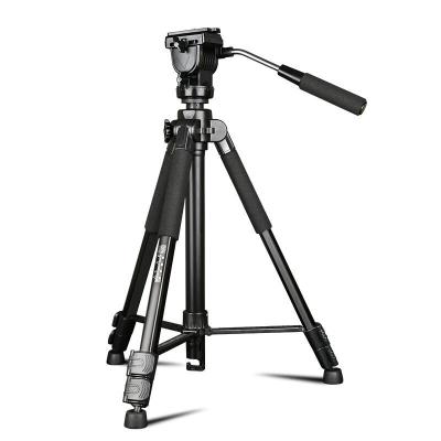 China Q333 Professional Digital Camera Video Camera Tripod for dv digital tripod dslr camcorder liquid head support 65