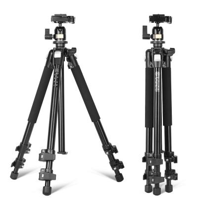 China Portable Flexible Digital Tripod 142cm Rotatable 1.6kg DSLR Phone Holder 1.6kg With Ball Head 8KG Load Camera Tripod for sale