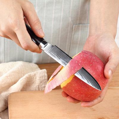 China Viable Professional 5inch Damascus Steel Kitchen Fruit Peeling Knife for sale