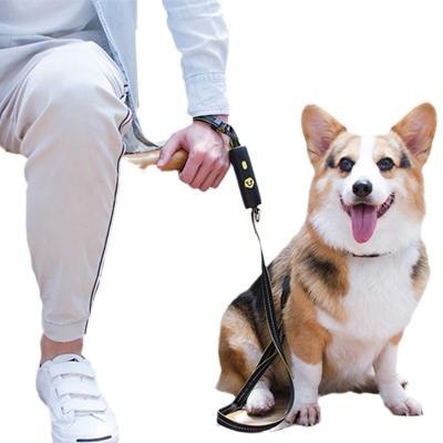 China Explosion Proof Dog Leash Portable Pet Travel Hands Stored Reflective Adjustable Leash for sale