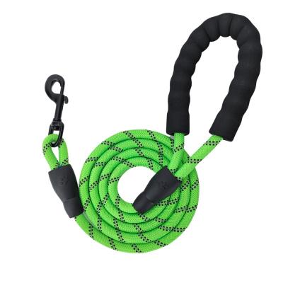 China Reflective Glow in the Dark Luminous Waterproof Portable Dog Cat Puppy Pet Lead Leash for sale