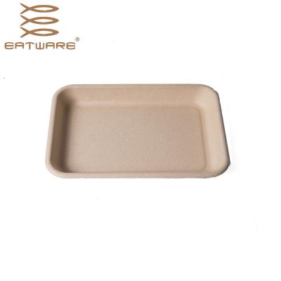 China PFAS Freezersafe Disposable Chemical Free Eco Friendly Dinnerware Custom Lunch Tray for sale