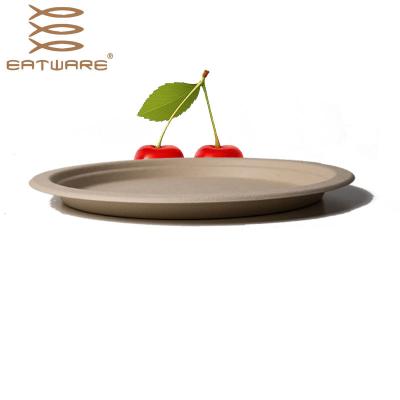 China 2021 New Product Eco Friendly Round 9 Inch Disposable Tray Disposable Plates for sale