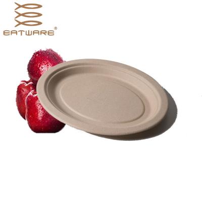 China 9 Inch 100% PFAS Disposable Biodegradable Chemical Free Square Paper Plates for sale