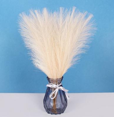 China Decorate Amazon Hit Decoration Dried Flowers Brown White For Pampas Grass Tall Pampas Grass For Home Or Weddings Decoration for sale