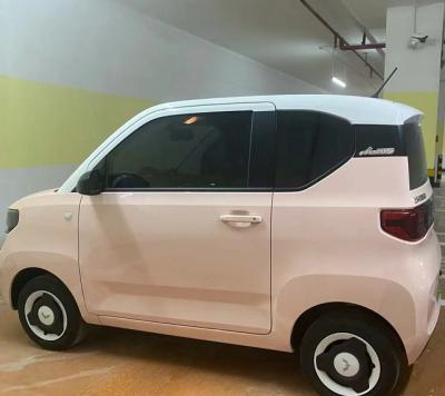 China 2022 New Cloth Electric Car Made In China Hot Selling Chinese Electric Vehicle Adult Use Electric Car for sale