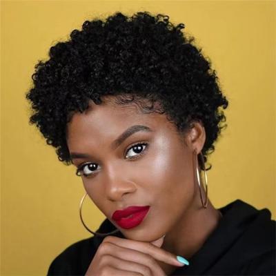 China Cheap Vibrant Price New Design Black LK Curl ChgnonUpdo Fluffy Curly Fluffy Hair For African Color Women Synthetic Wigs Hair Sideburns for sale